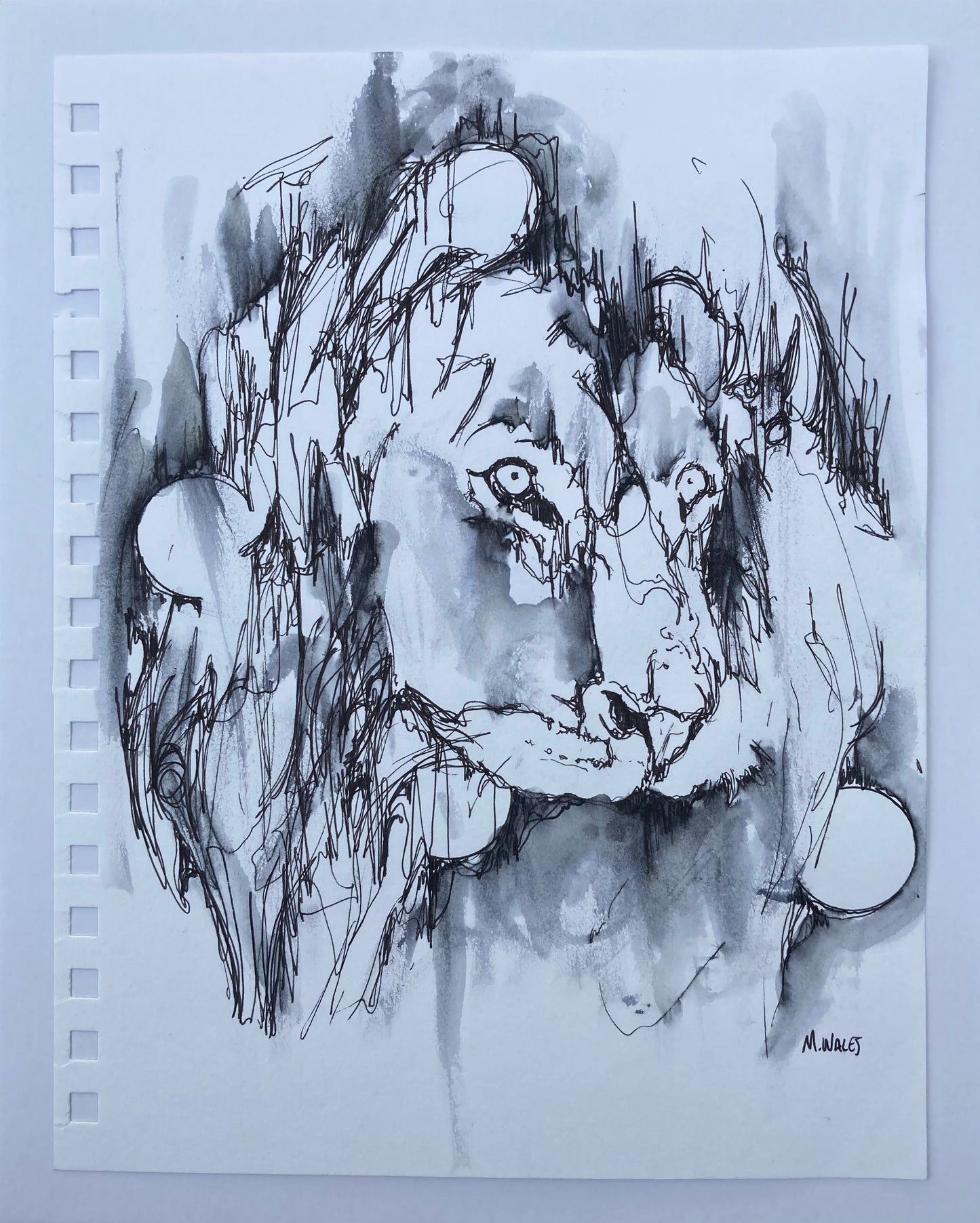 Lion (A2) Original