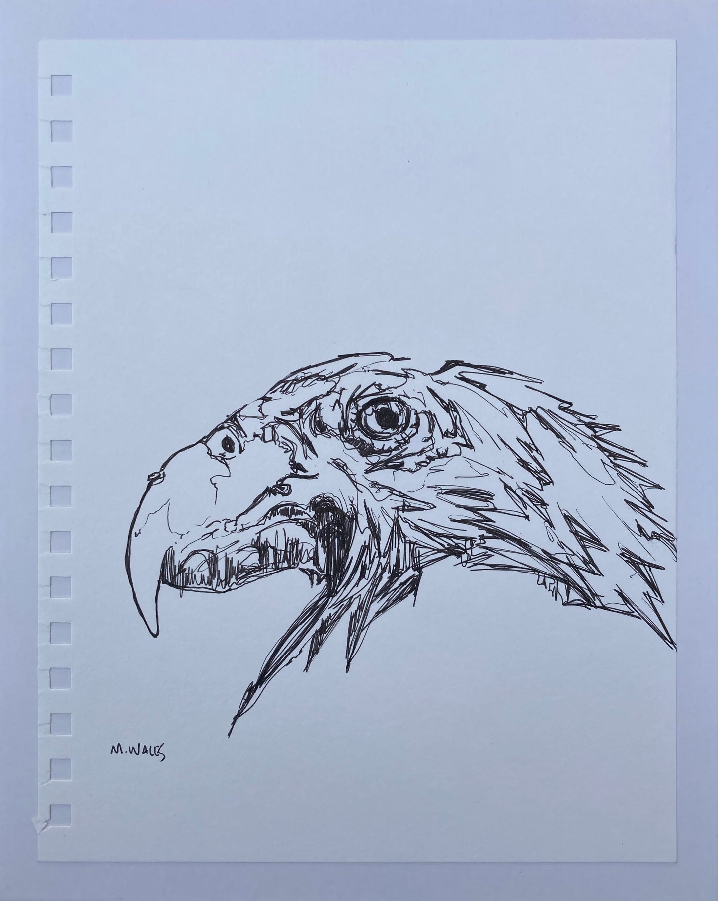Bird (A3) Original